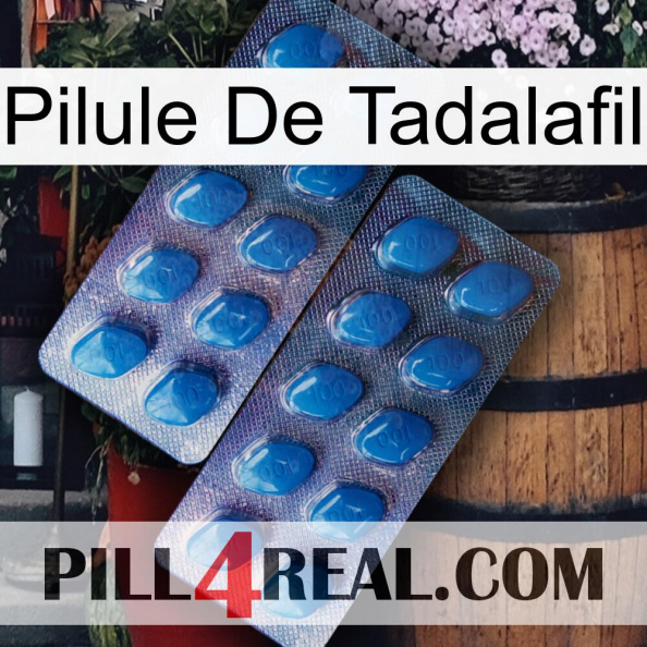 Tadalafil Pill viagra2